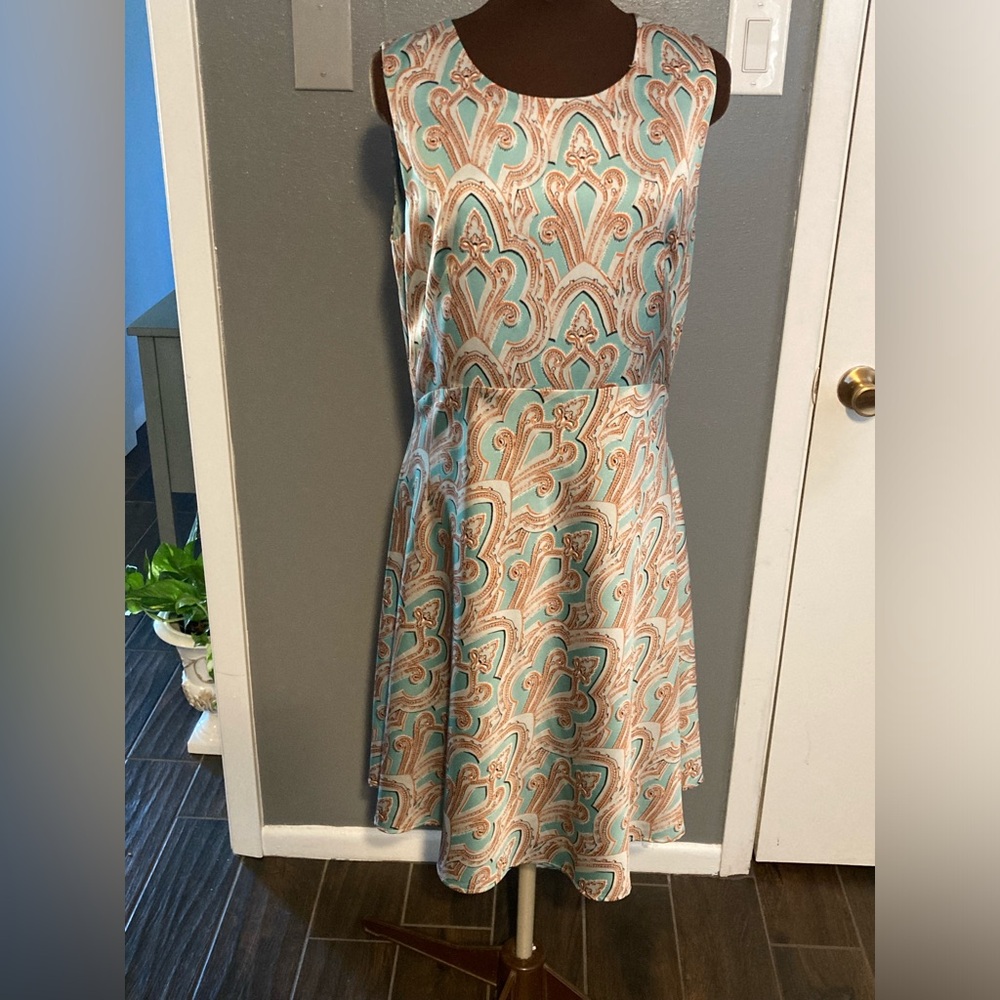 The limited mint dress Sz 14